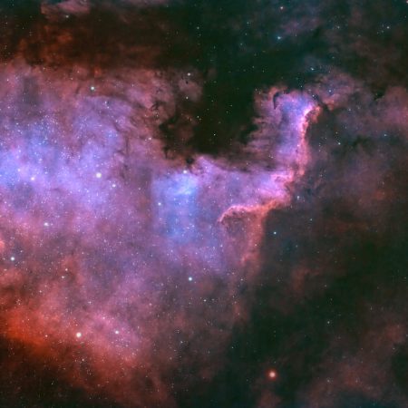 Ερωτικές προβλέψεις ζωδίων σύμφωνα με το Κέλτικο ωροσκόπιο