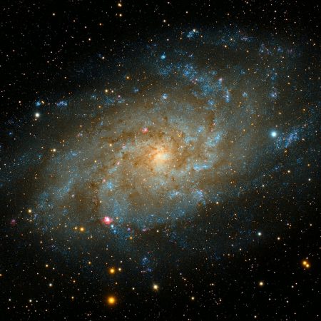 Αισθηματικές προβλέψεις από 25/8 έως 31/8