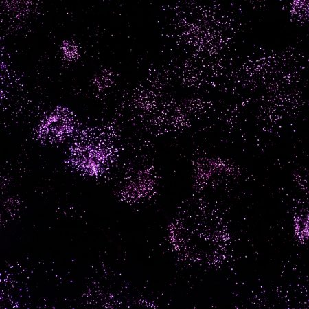 Ερωτικές προβλέψεις από 8/9 έως 14/9