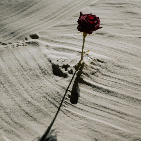 Ήθελα να με θυμάσαι σαν κάτι διαφορετικό