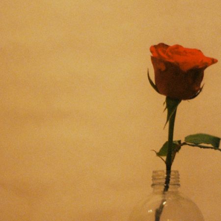 Ν' ανθίζουνε κόκκινα ρόδα, για σένα