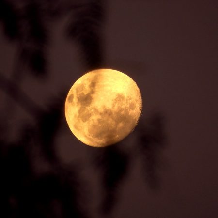 Πώς αντιδρούν τα 12 ζώδια όταν οι δυσκολίες τούς χτυπάνε την πόρτα