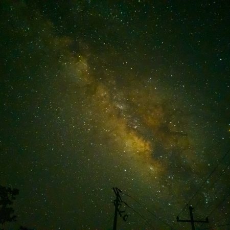 Αισθηματικές προβλέψεις 11/12