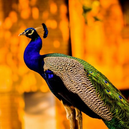 Νιώθεις ο πιο περήφανος γονιός αν δεις πως το παιδί σου ωριμάζει