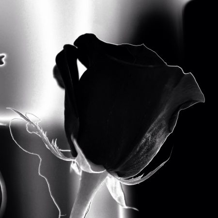 Σε θέλω· με το μπέρδεμα στο κεφάλι μου τι γίνεται;