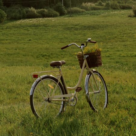 Έκανε το Ινδία-Σουηδία με ποδήλατο για να συναντήσει την αγάπη του