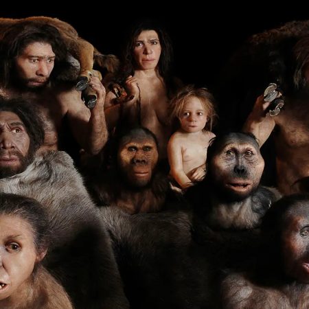 Επιστήμονες βρήκαν κρανίο από νέο ανθρώπινο είδος!