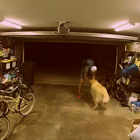 Θεούλης ληστής σταμάτησε να παίξει λίγο με το σκυλί του σπιτιού που έκλεβε