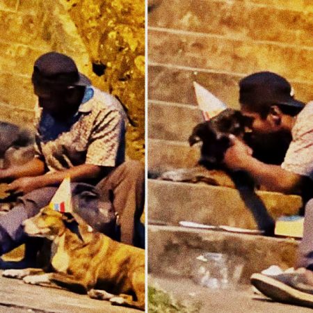 Ο άστεγος που κάνει πάρτι γενεθλίων στα σκυλιά του θα σου μαλακώσει την καρδούλα