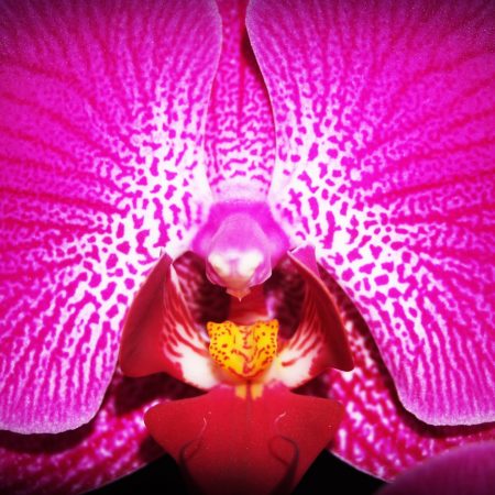 6 tips για να τη γλείψεις σωστά