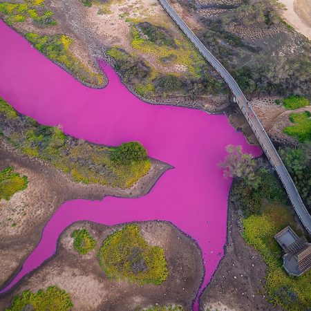 Η λίμνη Kealia στη Χαβάη αποκτά φούξια χρώμα και δεν είναι photoshop