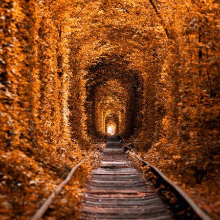 Στο «τούνελ της αγάπης» στην Ουκρανία κάθε ζευγάρι πρέπει να κάνει μια ευχή