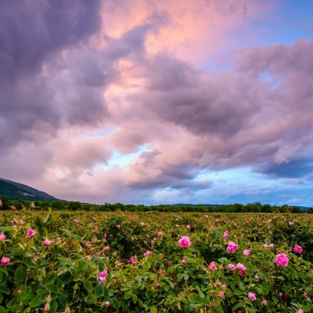 Στο Καζανλάκ πηγαίνεις για τριαντάφυλλα, ρομάντζο κι ιστορία