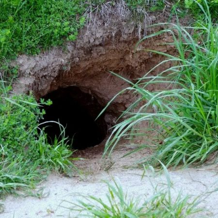 Κορινθία: Οικογένεια με 5 παιδιά βρέθηκε να ζει σε λαγούμι, με τόξα και βέλη