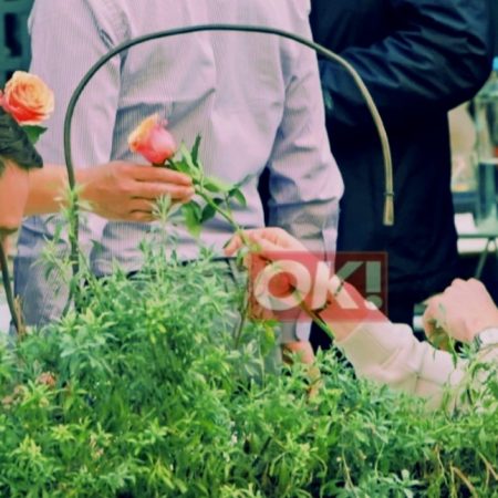 Ένα ροζ τριαντάφυλλο από τον Στέφανο στον Τάιλερ γιατί να είναι θέμα;