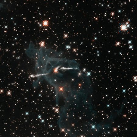 Τα 12 ζώδια από το πιο βρώμικο μυαλό στο πιο αθώο