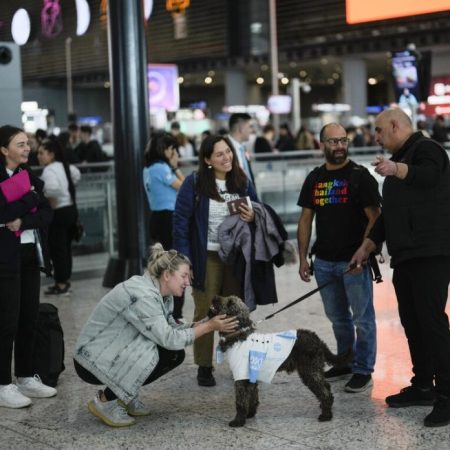 Στο αεροδρόμιο της Τουρκίας σκύλοι κάνουν νάζια σε αγχωμένους ταξιδιώτες!