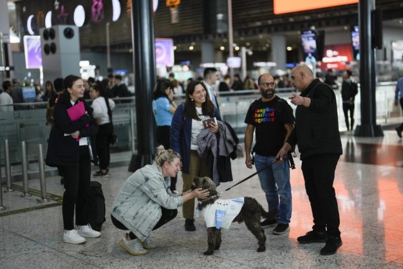 Στο αεροδρόμιο της Τουρκίας σκύλοι κάνουν νάζια σε αγχωμένους ταξιδιώτες!