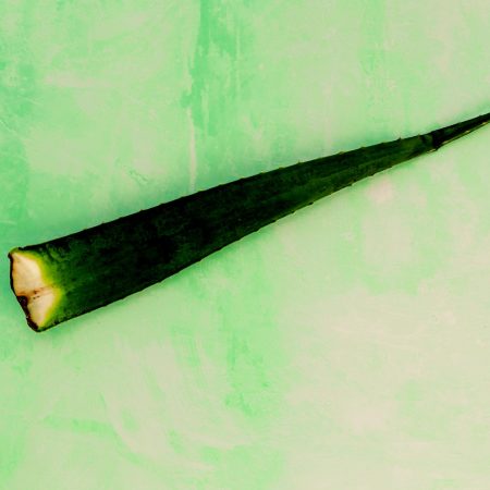 Αλόη στο εσώρουχό μας: Κάνει δουλίτσα τελικά η νέα τάση;