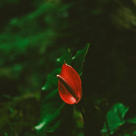 3 tips για να ανεβάσεις λέβελ το doggυ style σας