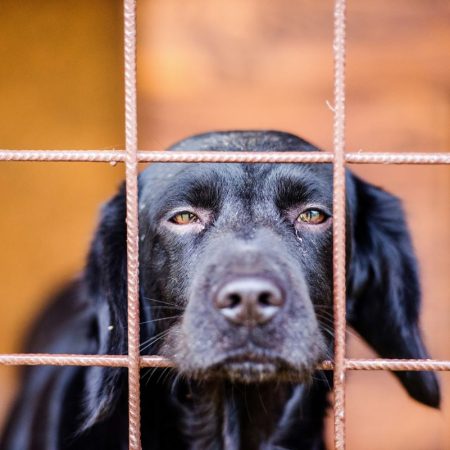 Η φρικτή κακ0ποίησή μου στη Βέροια, από τον άνθρωπο που εμπιστεύτηκα!