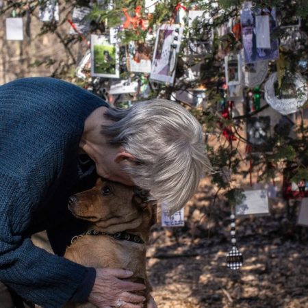 Στο Central Park υπάρχει ένα χριστουγεννιάτικο δέντρο για τα κατοικίδια που μας λείπουν