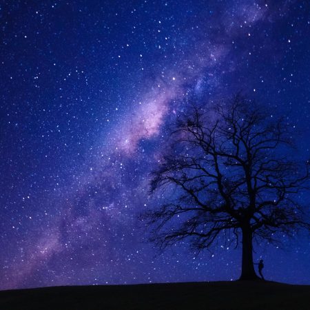 Κινέζικη Αστρολογία 2025: Πώς θα πάει για το ζώδιό σου το έτος του Φιδιού του Ξύλου