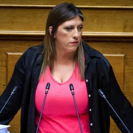 «Κάνε κανένα παιδί ή υιοθέτησε»: Όλοι οι Βουλευτές που υποστήριξαν την Κωνσταντοπούλου