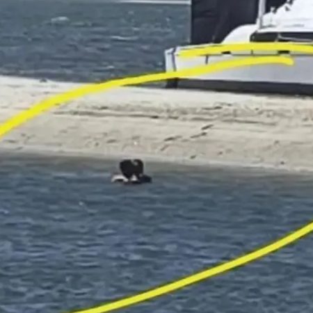 Ζευγάρι έκανε σ#ξ σε μια λίμνη και ζήτησε λεφτά από κόσμο που τους πήρε μάτι