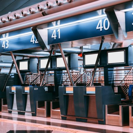 Γυναίκα έπνiξε τον σκύλο της σε τουαλέτα αεροδρομίου επειδή δεν τον άφησαν να ταξιδέψει