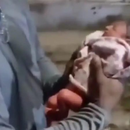 Βραζιλία: Υπάλληλος καθαριότητας θέλει να υιοθετήσει μωρό που βρήκε δίπλα στα σκουπίδια