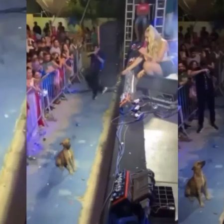 Σκυλάκος απολαμβάνει βραζιλιάνα τραγουδίστρια κι εκείνη κάνει την πιο demure κίνηση