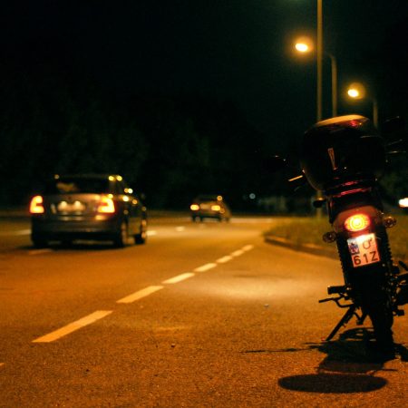 Όταν οι μύγες… έκαναν έρωτα