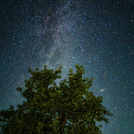 Καρμικό ωροσκόπιο από 11/5 έως 17/5: Προβλέψεις για τα ζώδια