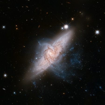 Αισθηματικές προβλέψεις 11/5