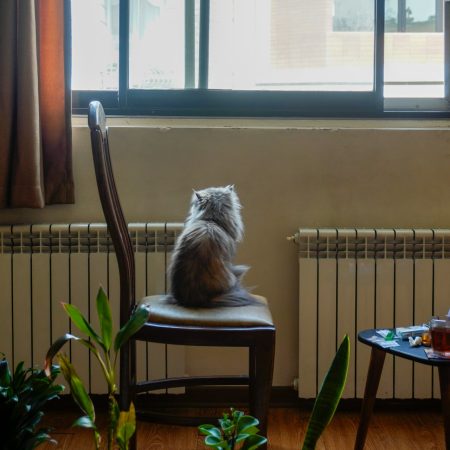 9 life hacks για να ρομαντικοποιήσεις την ως τώρα απάλευτη ζωή σου