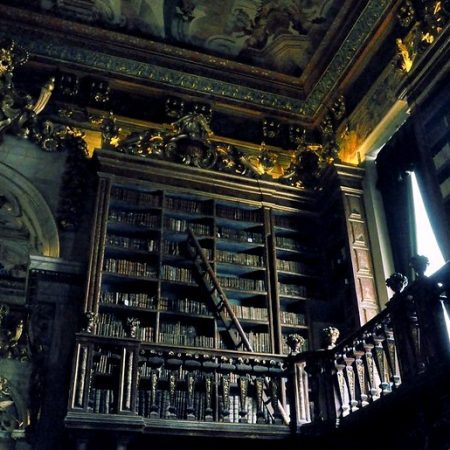 Στην Πορτογαλία θα βρεις μια βιβλιοθήκη που προσέχουν τα βιβλία οι νυχτερίδες!