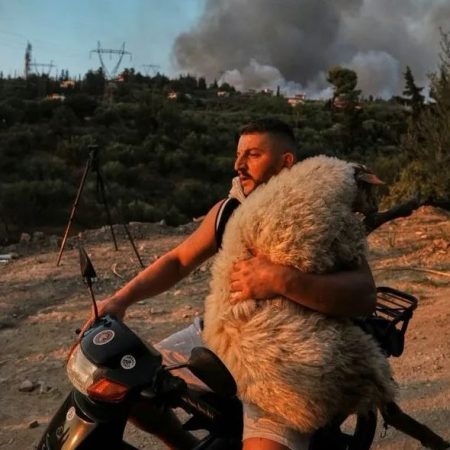 Ο τύπος στο παπάκι με το πρόβατο στην αγκαλιά είναι η ανθρωπιά που μας έμεινε