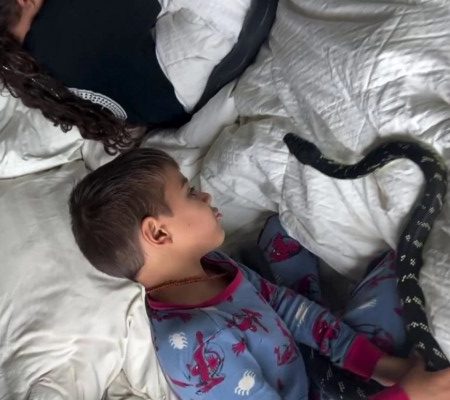 Ο Σωκράτης είναι ένας Κύπριος που ζει με τα παιδιά του, τη γυναίκα του και 130 ερπετά