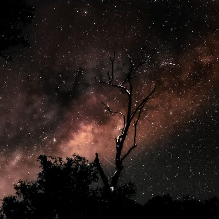 Kαρμικό ωροσκόπιο από 10/8 έως 16/8: Προβλέψεις για τα ζώδια