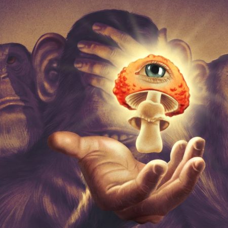 Stoned Ape Theory: Οι πρόγονοί μας απέκτησαν αυτογνωσία δοκιμάζοντας ψυχeδελικά μανιτάρια