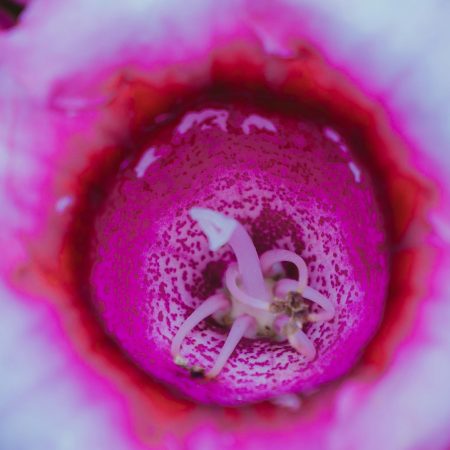 5 στάσεις που έχουν φτιαχτεί για να προκαλούν κλειtοριδικό οργaσμό