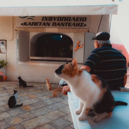 Η ΕΛΣΤΑΤ έδωσε τα 20 πιο famous ονόματα στην Ελλάδα από το 1940 μέχρι σήμερα