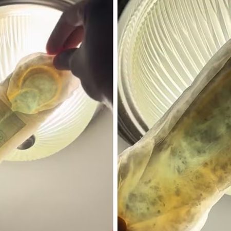 Στο τικτοκ δεκάδες γυναίκες σηκώνουν άθικτες σερβιέτες στο φως και βρίσκουν «μούχλα»