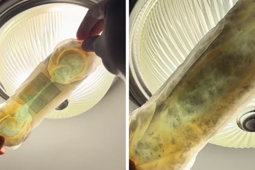 Στο τικτοκ δεκάδες γυναίκες σηκώνουν άθικτες σερβιέτες στο φως και βρίσκουν «μούχλα»