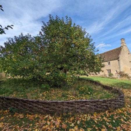 Πού βρίσκεται μέχρι σήμερα η διάσημη μηλιά του Νεύτωνα;