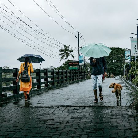 Το φθινόπωρο είναι τάξη μετά την αταξία, γαλήνη μετά από ξέφρενο καλοκαίρι
