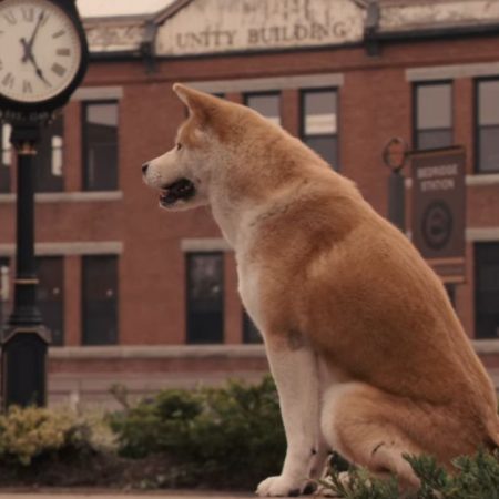 7 βιβλία που έχουν τους πιο υπέροχους τετράποδους πρωταγωνιστές