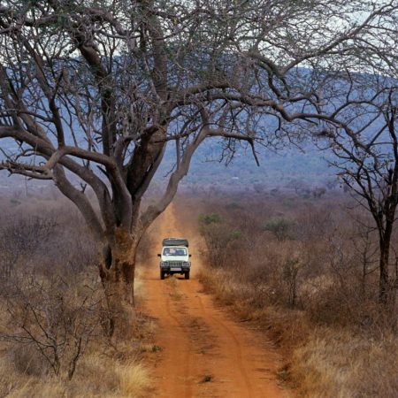 Πώς να οργανώσεις το τέλειο road trip σε Αφρική, Αμερική και Ασία