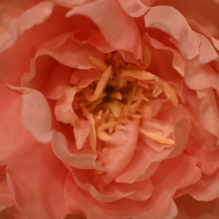 1-2 φορές σ3ξ/εβδομάδα λένε οι έρευνες για αποφυγή κατάθλιψης (έτσι εξηγείται)